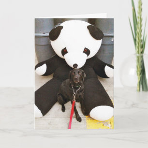 Pflege nicht Natur Karte