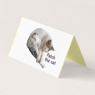 PFLEGEN SIE DIE KATZE UND IHRE KÜCHE