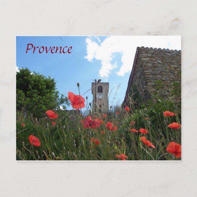 Pflücke in der Provence-Postkarte Postkarte (Vorderseite)