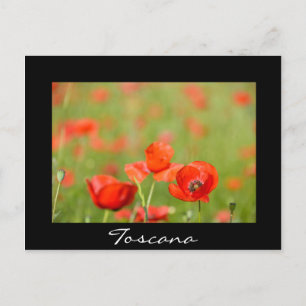 Pflücke in schwarzem Text der Toskana Postkarte