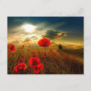 Pflücke schöne Tageskarte Postkarte