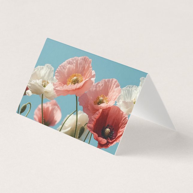 Pflückenfeld gegen einen blauen, weichen Himmel (Vorderseite)