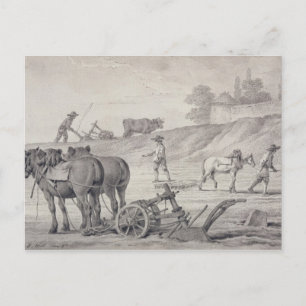 Pflügen der Felder Postkarte