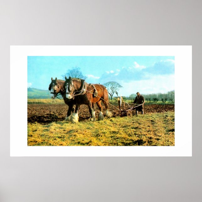 Pflügen Poster (Vorne)