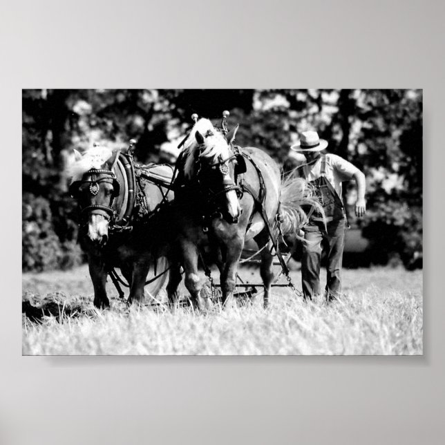 Pflügen Poster (Vorne)