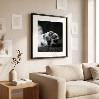 Pfoten-Foto individuell 5 auf 7 Foto Haustier-Ande Poster
