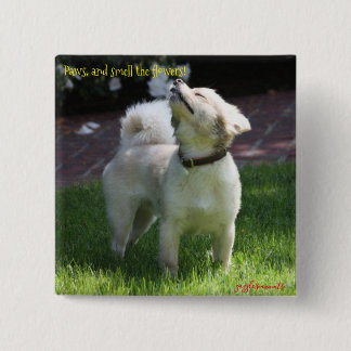 Pfoten und riechen die Blume Button