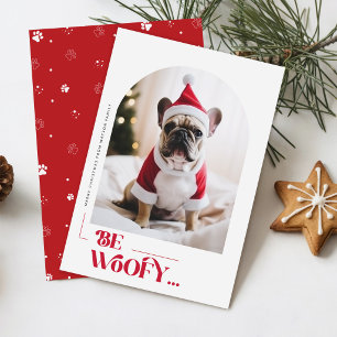 Pfotenabdruck Rot Einfache Hund Foto Weihnachten
