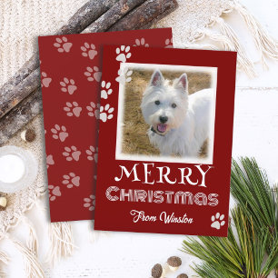Pfotenabdrücke Frohe Weihnachten Hund Foto Karten