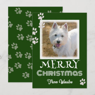 Pfotenabdrücke Frohe Weihnachten Hund Foto Karten