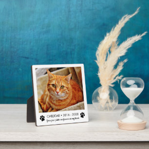 Pfotenabdrücke Katzen-Gedenkfoto Fotoplatte