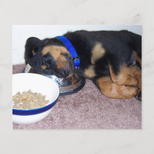 Pfotendruck auf der Gedenkkarte für den Verlust de