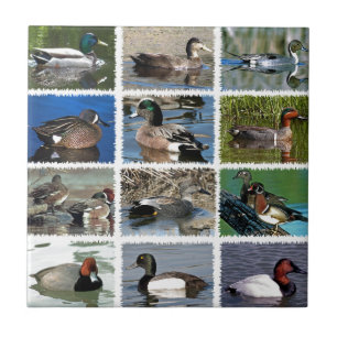 Pfütze duckt Logo Fliese