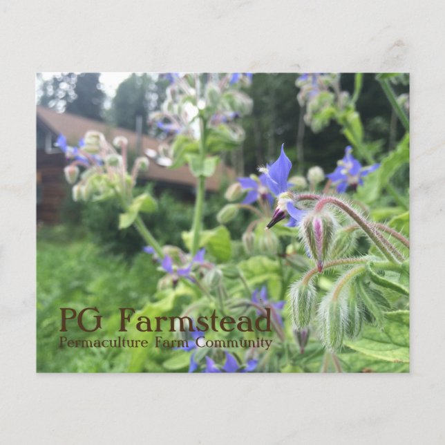 PG Farmstead-Flyer Flyer (Vorne)