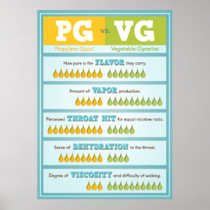 PG vs. VG Infografik Poster