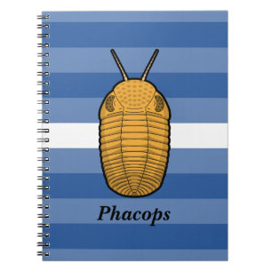 Phacops Trilobit - prähistorisches Tier Notizblock
