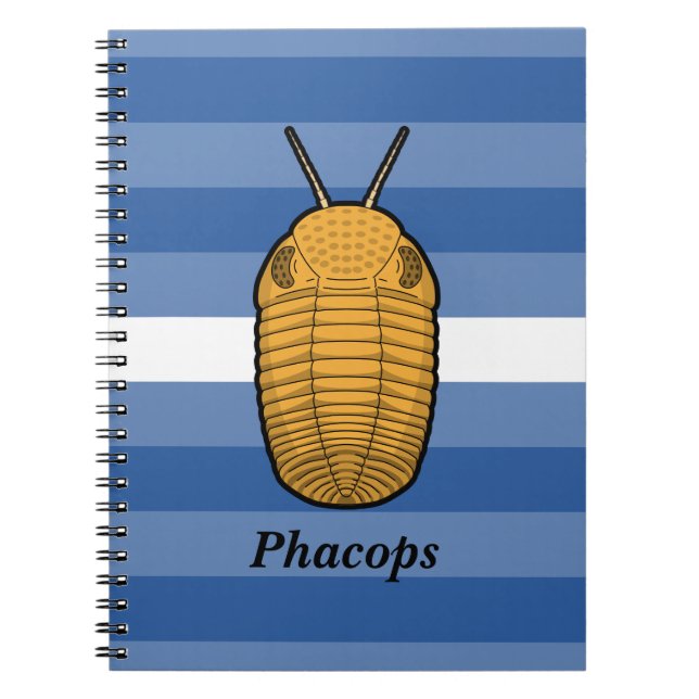 Phacops Trilobit - prähistorisches Tier Notizblock (Vorderseite)
