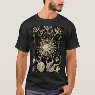 Phaeodarie   61 Gold   Ernst Haeckel   T-Shirt
