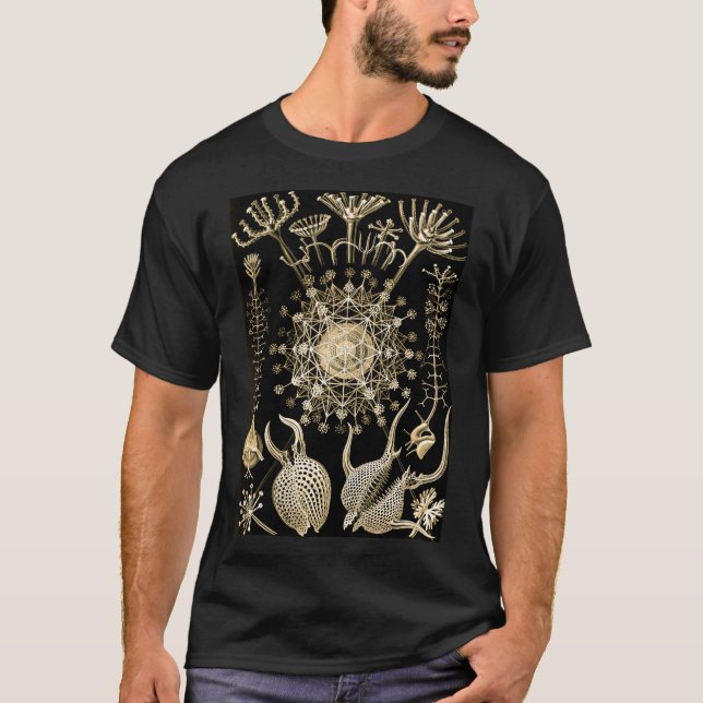 Phaeodarie | 61 Gold | Ernst Haeckel | T-Shirt (Vorderseite)
