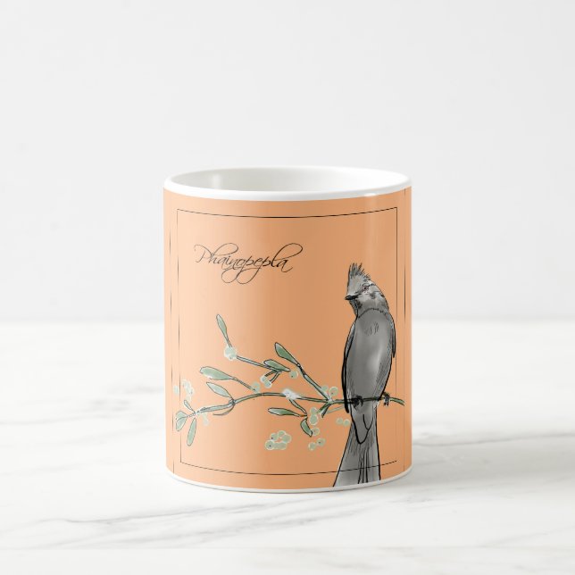 Phainopepla Kaffeetasse (Mittel)