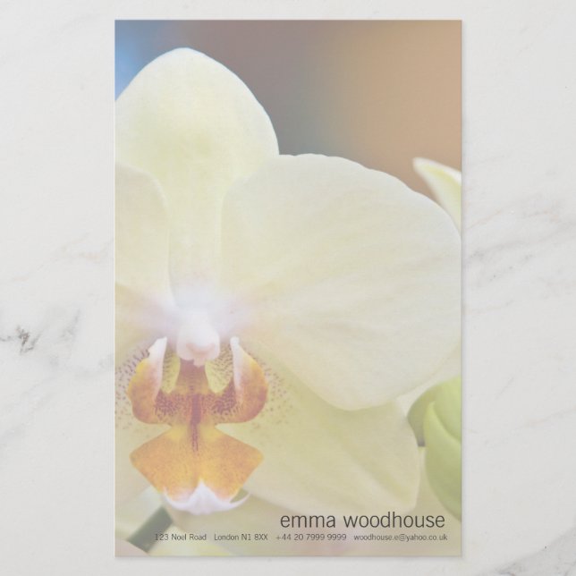 Phalaenopse Orchid Briefpapier (Vorderseite)