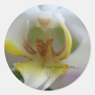 Phalaenopsis Magic White Wedding Einladung Siegel Runder Aufkleber