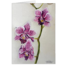Phalaenopsis "Motten-Orchidee" 5" x 7", mit