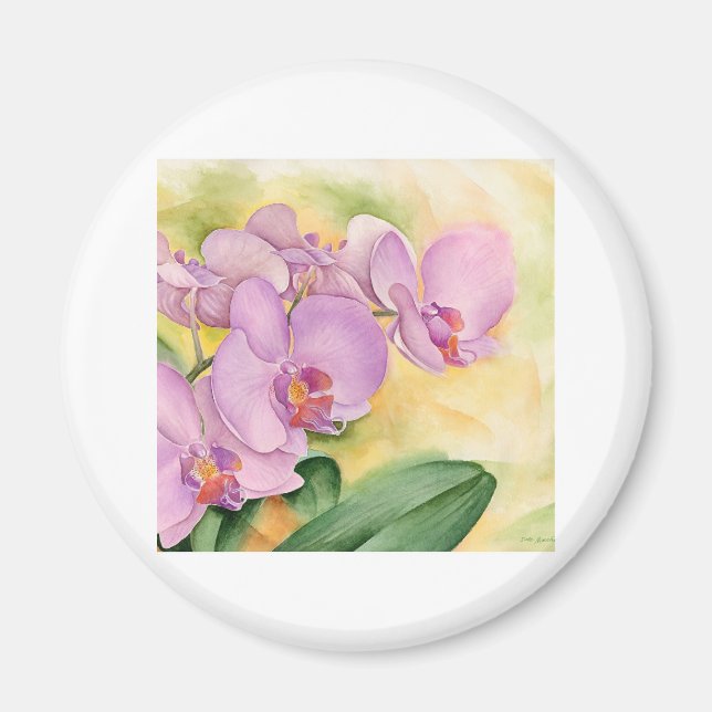 Phalaenopsis Orchid-Blume - Multi Magnet (Vorne)