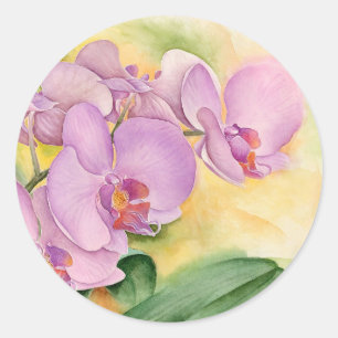 Phalaenopsis Orchid-Blume - Multi Runder Aufkleber