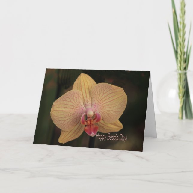 Phalaenopsis orchid Happy Boss's Day Karte (Vorderseite)