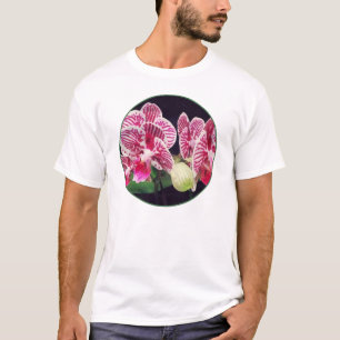 Phalaenopsis-Orchidee Taida Little Zebra T-Shirt