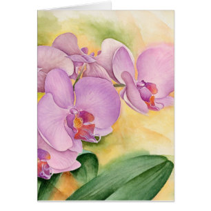 Phalaenopsis-Orchideen-Rosa-lila Blumen