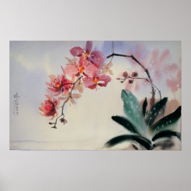 Phalaenopsis Poster (Vorne)