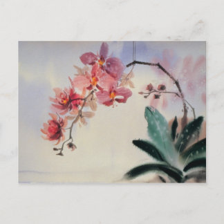 Phalaenopsis Postkarte