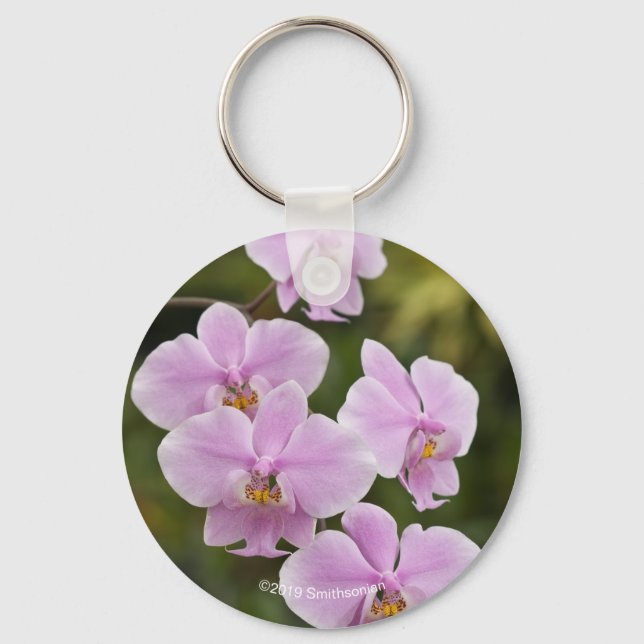 Phalaenopsis Schlüsselanhänger (Vorderseite)