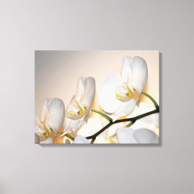 Phalaenopsis Sogo Yukidian Orchid Wrapped Canvas Leinwanddruck (Vorderseite)