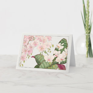 Phalaenopsis von Tanigami Konan Karte