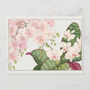 Phalaenopsis von Tanigami Konan Postkarte