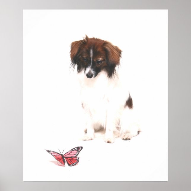 Phalene Papillon mit Butterfly Poster (Vorne)