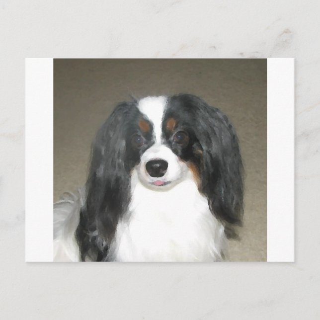 Phalène Papillon Postkarte (Vorderseite)