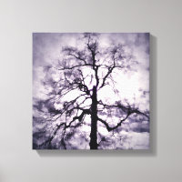 Phantastes Canvas Print