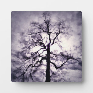 Phantastes Foto Plaque Fotoplatte