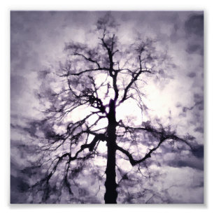Phantastes Foto Print