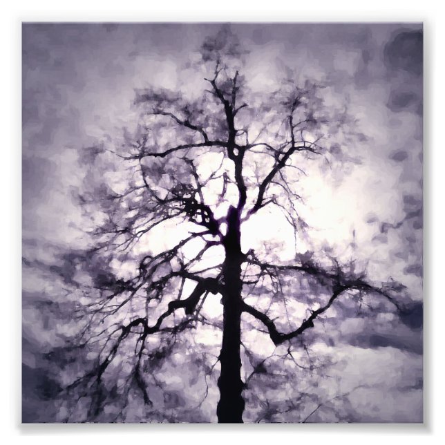 Phantastes Foto Print (Vorne)