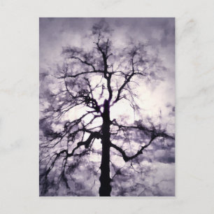 Phantastes Postcard Postkarte