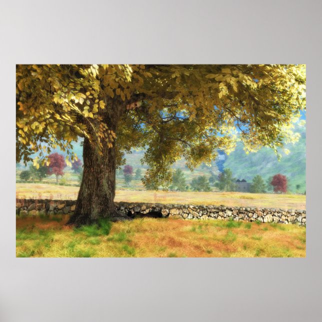 Phantasti: Unter dem Buchenbaumposter Poster (Vorne)