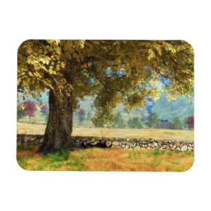 Phantasti: Unter dem flexiblen Magnet der Buche