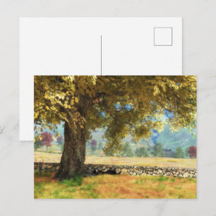 Phantasti: Unter der Buche Tree Postcard Postkarte