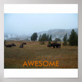 Phantastisch Buffalo Poster