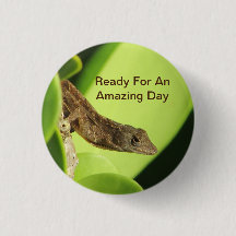Phantastisch Day Tropical Brown Gecko Positive